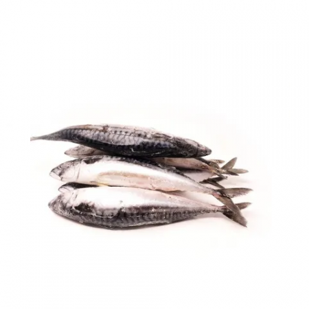 Mackerel Fish X 2