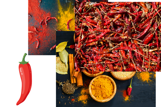 Spices and Seasoning