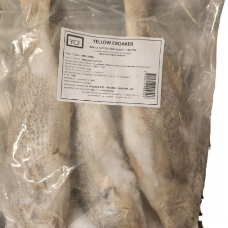 Frozen Yellow Croaker Fish 400/800 3kg