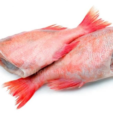 Frozen Red Bream
