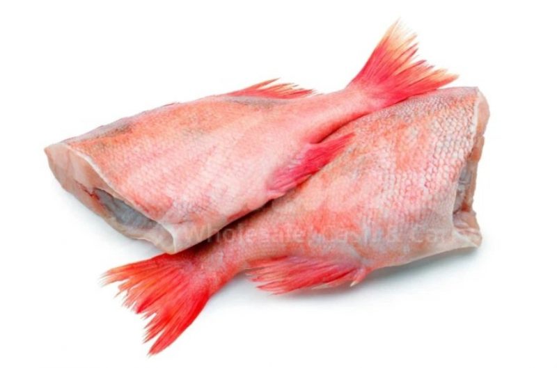 Frozen Red Bream