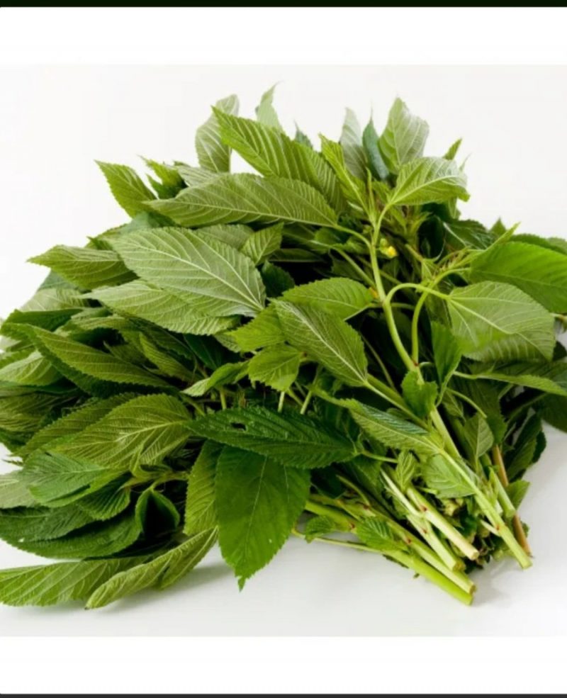 Fresh Ewedu Leaf