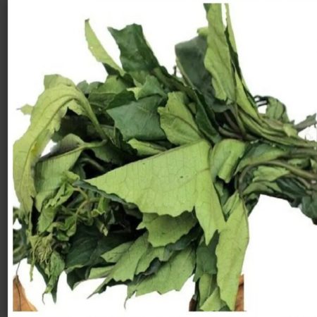 Fresh Ugu x 1 bunch
(  Call us first to check availability before placing your order )