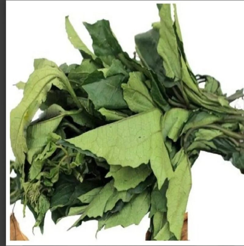 Fresh Ugu x 1 bunch
(  Call us first to check availability before placing your order )